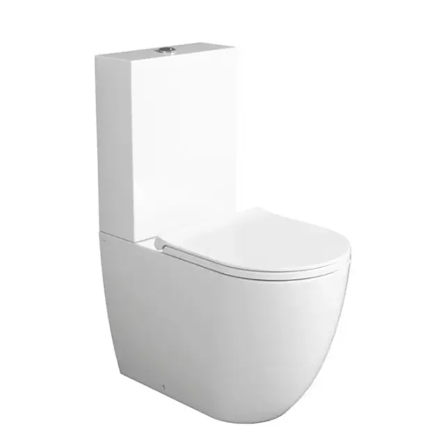 Simas Vignoni Бачок для унитаза моноблок VI07 с механизмом слива D20., цвет белый/хром VI09/D20