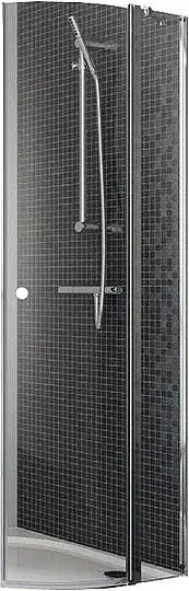 Radaway Eos II Дверь для душевого уголка PDD 80x195h см R, цвет: хром 3799470-01R