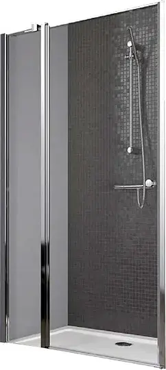 Radaway Eos II Дверь для душевого уголка KDJ 110x195h см L, цвет: хром 3799423-01L