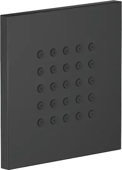 DornBracht Angular generic Душевая форсунка, 12х0,9хh12 см, 5,3 л/мин, цвет: черный 36515979-33