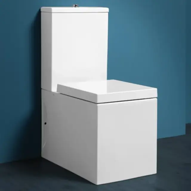 Simas Frozen Бачок с крышкой для унитаза, без механизма смыва, цвет: белый глянцевый FZ09bi