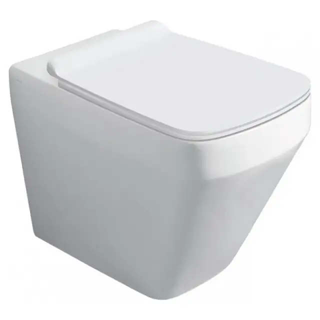 Simas Baden Baden Унитаз приставной 42х69,5 см, безободковый, универсальный слив, цвет: белый глянц. BB01bi