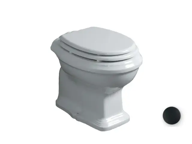 Simas Arcade Унитаз напольный с вертикальным сливом 44х72 см, без крышки-сиденья, цвет: nero AR801nero