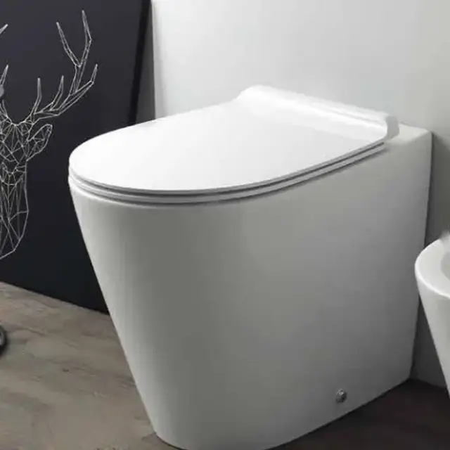 Simas Gambassi Унитаз приставной 37,5х56,5 см, безободковый, без крышки-сиденья, цвет: белый глянц. GA01bi