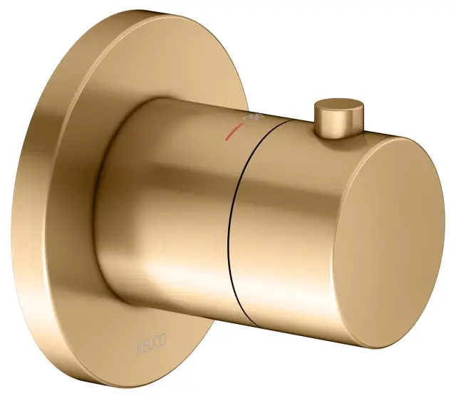 Keuco Ixmo Смеситель для душа термостатический, 1 потреб., встр., внеш. часть, цвет: латунь 59553 250001