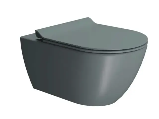 GSI Pura Унитаз подвесной 55x36 см безободковый, смыв swirlflush, с крепежом, цвет: agave opaco 8815FR204
