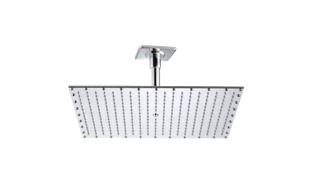 Bossini Paris Верхний душ 40x50 см, 1 вид струи, кронштейн потолочный, цвет: chrome H29608C.030