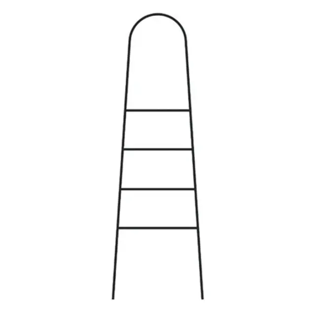 Bertocci Moon Полотенцедержатель-лестница 50хh155 см, цвет: черный матовый 147 0385 0800