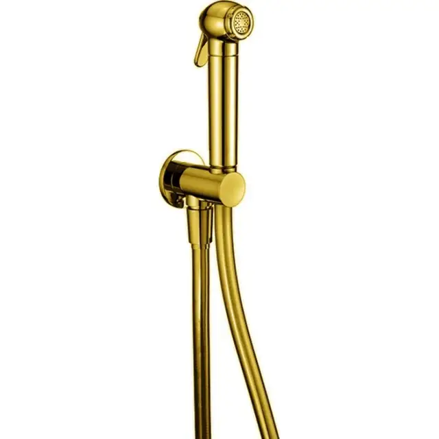 Cisal Shower Гигиенический душ, со шлангом 120 см, вывод с держателем, цвет: 24K Gold SC00791024