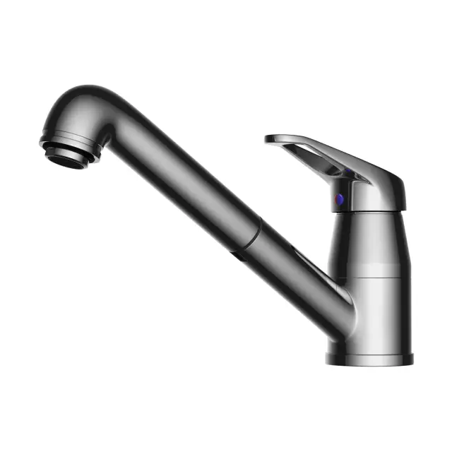 Omoikiri Tateyama-S-C Смеситель для кухни с гибким изливом, цвет: хром 4994115