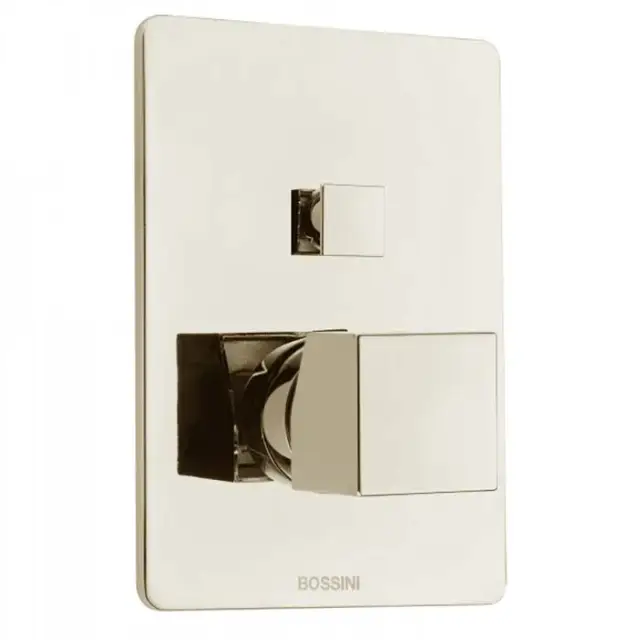 Bossini Cube Смеситель для душа, встраиваемый, 2 потребителя, цвет: satin nickel Z00063.094
