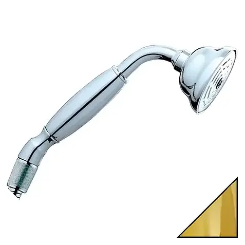 Bossini Charleston Ручной душ, 1 вид струи, цвет: gold B00580.021