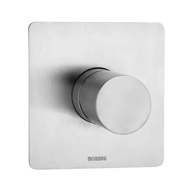 Bossini Ino Смеситель для душа встраиваемый, 1 потребитель, цвет: mat brushed stainless steel INZ047.075