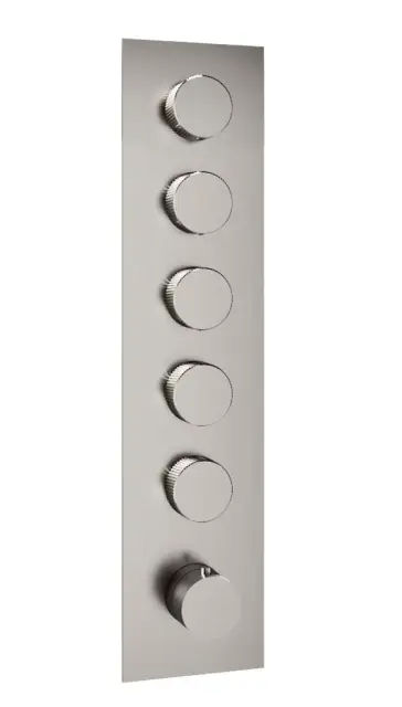 Treemme 22mm Смеситель для душа термостатич. встр., 5 потреб., внеш. часть, цвет: нержавеющая сталь RWIT6098IS35